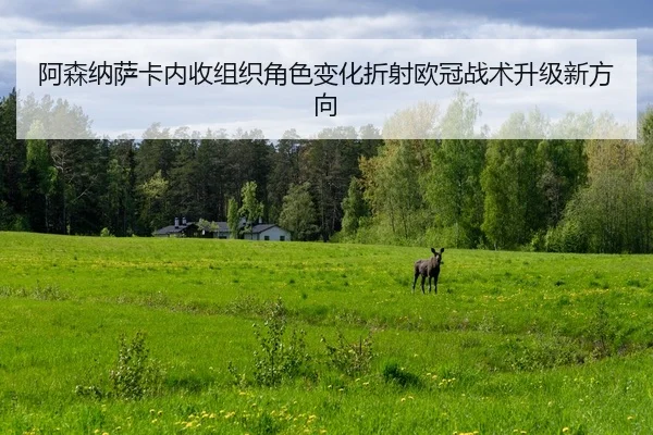 阿森纳萨卡内收组织角色变化折射欧冠战术升级新方向