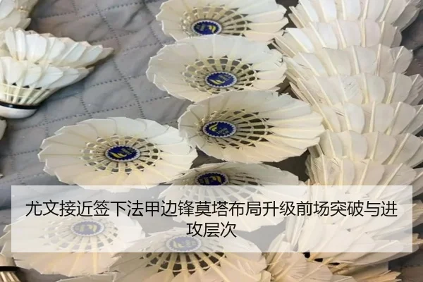 尤文接近签下法甲边锋莫塔布局升级前场突破与进攻层次